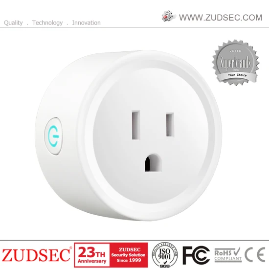 Non-Grounding Electrical Wall Socket Smart WiFi Plug for Smart Home